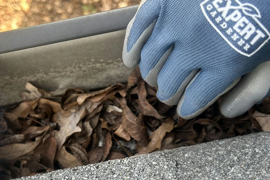 Gutter Cleaning Howey-in-the-Hills FL