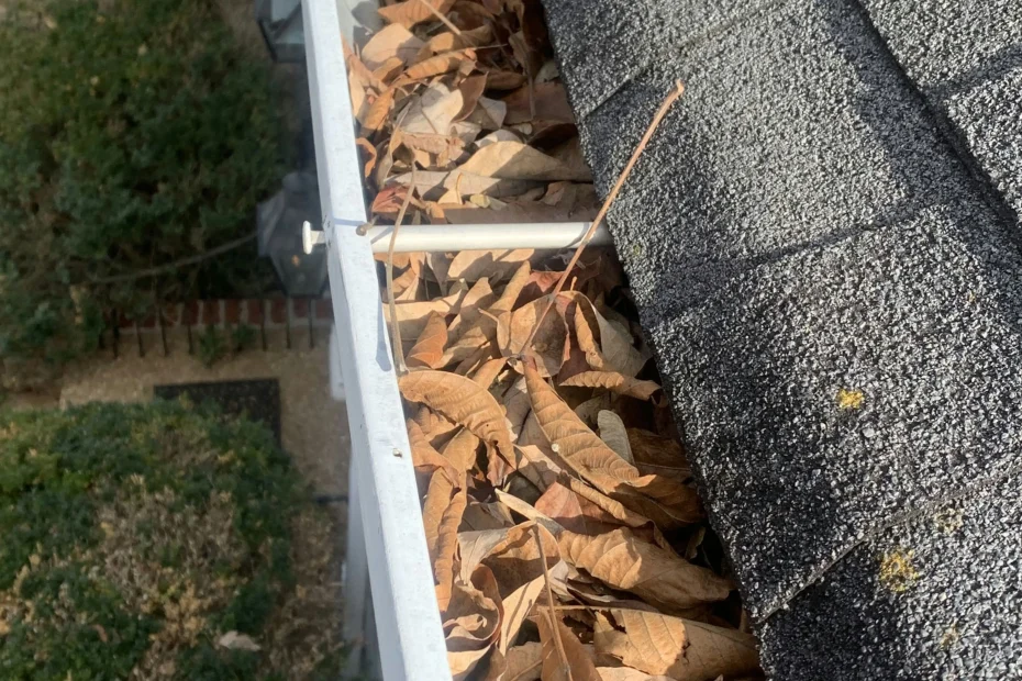 Gutter Cleaning Howey-in-the-Hills FL