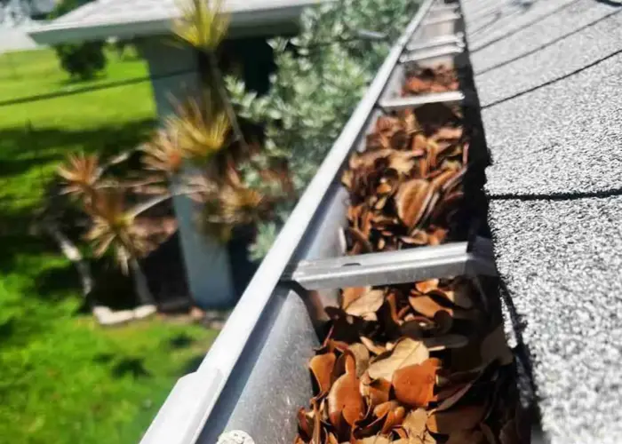 Gutter Cleaning Howey-in-the-Hills FL home page